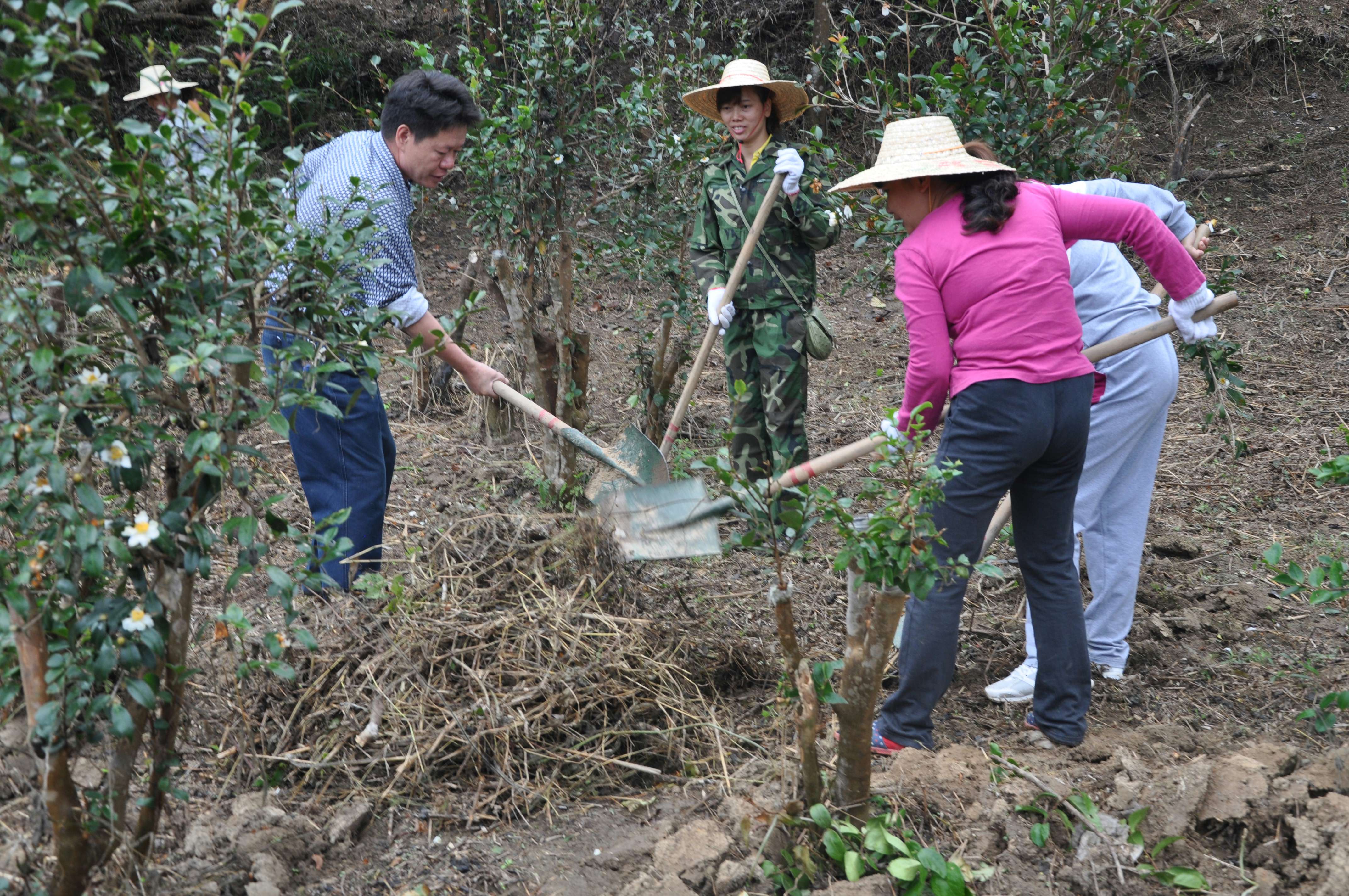 �������ܹ���ʦ���Ͷ��ֳ�