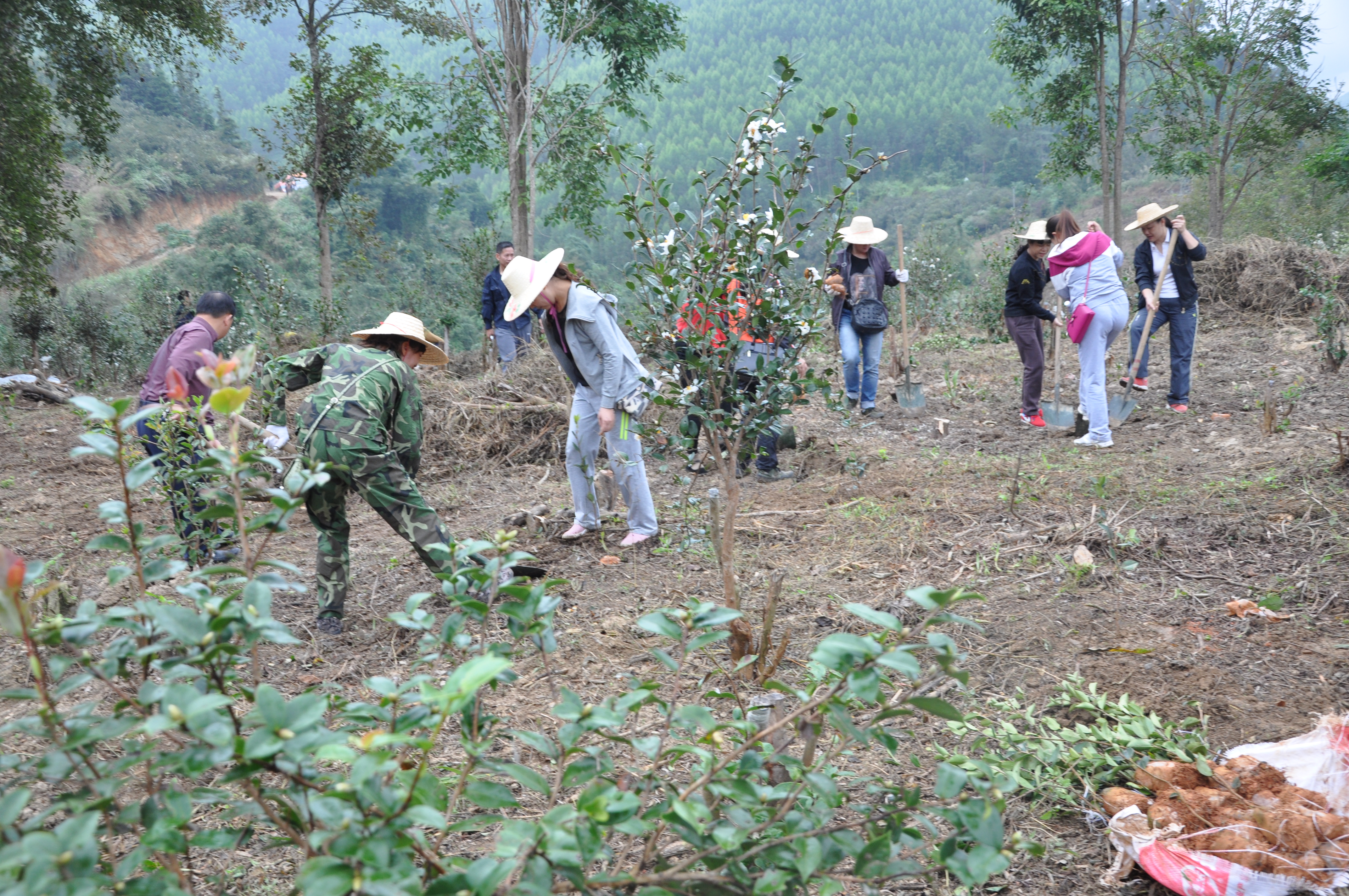 ְ���Ͷ��ֳ�